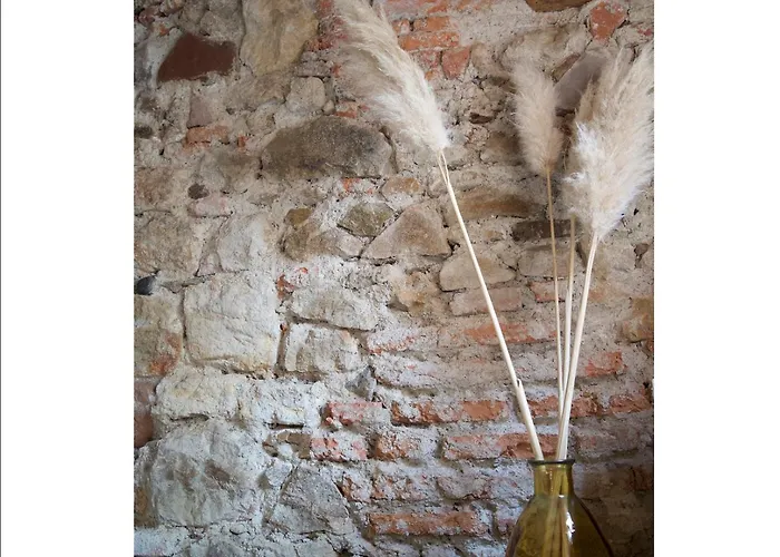 Apartamento & Quiet, Full For 2 L'escapade Fleurie Colmar